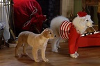 Foto de la película Navidad con los Buddies: En busca de Santa Can ...