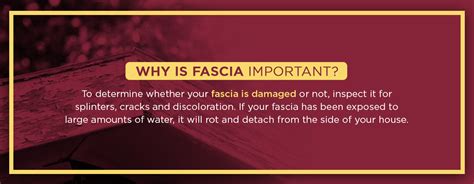 Why You Should Care About Your Soffit And Fascia Brothers Aluminum