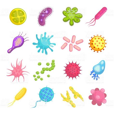 Download High Quality Bacteria Clipart Microorganism Transparent Png