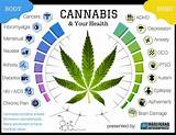 Marijuana And Cancer Pictures