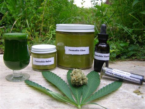 Cannabis Cures Cancer And The Government Knows It