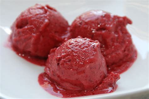 Berry Sorbet Stylish Cuisine