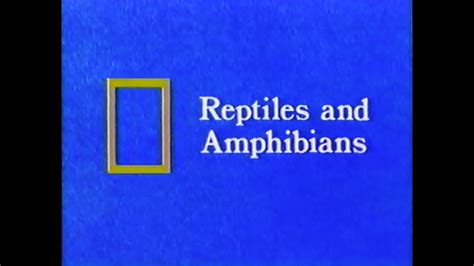 National Geographic Reptiles And Amphibians 1968 1989 Vhs Youtube