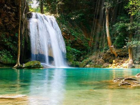 Tropical Waterfall Animated Wallpaper Download