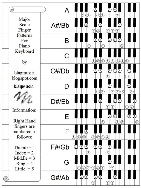 Major Scale Finger Patterns For Piano Keyboard Piano Piano Scales