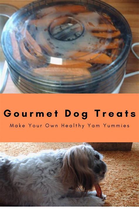 Gourmet Dog Treats Make Your Own Healthy Yam Yummies Trishs