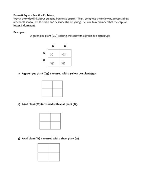 Punnett Square Worksheets With Answers Worksheeto Com