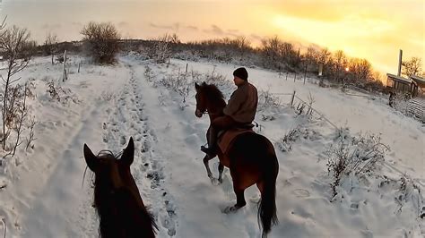 Gopro Hero 3 Horse Riding In Snow Youtube