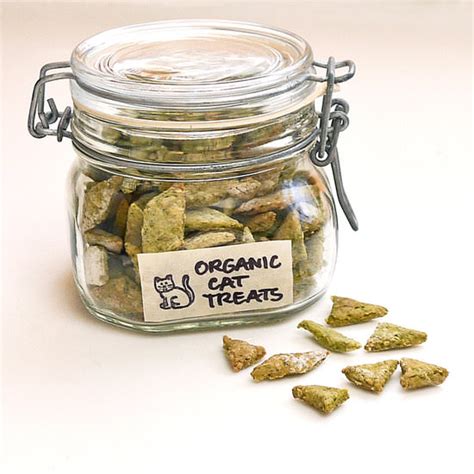 These chewy cat treats from diy network are a good biscuit template for cats that you can add and. 5 Easy DIY Cat Treat Recipes