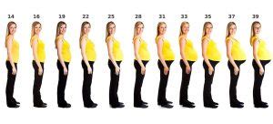 Pregnancy Body Changes Week To Week