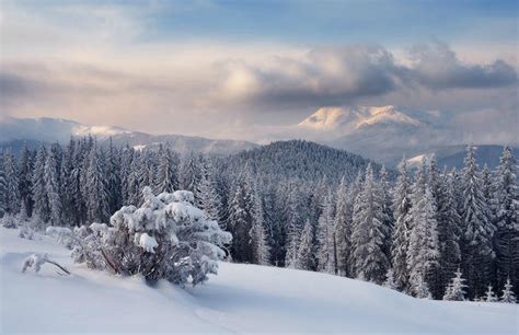 Iarna La Munte Cele 20 De Peisaje Superbe Din Muntii Carpati E