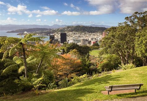 Wellington Botanic Gardens Ed Okeeffe Photography