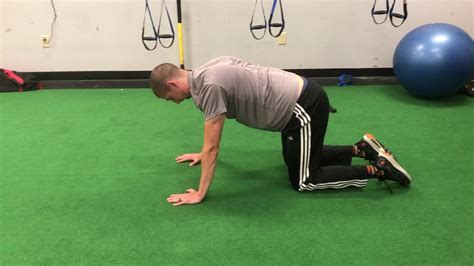 Quadruped Scapular Circles Youtube