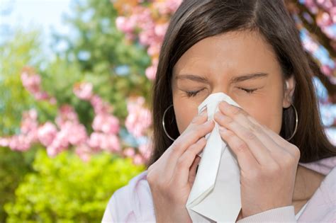 Allergy Alert How To Naturally Treat The Spring Sniffles