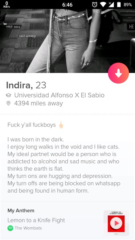 The Best And Worst Tinder Conversations And Profiles In The World 135