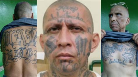 3 Arrested Alleged Ms 13 Leaders Accused Of Directing Murders Others