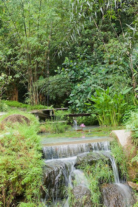 Situated along the aptly named jalan air terjun after relishing the quite solitude of the botanic garden, visitors will be able to visit the only tropical spice garden in malaysia as the rest are more. Tropical Spice Garden Penang - Malaysia Tourist & Travel Guide
