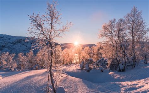 Download Wallpapers Morning Sunrise Winter Snow
