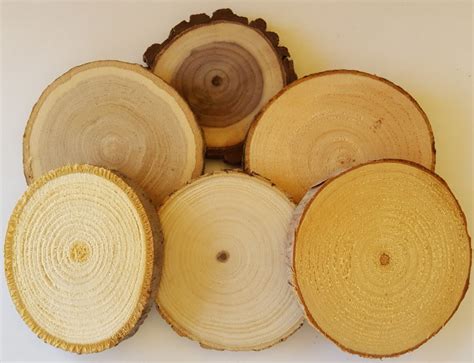 Tree Round Assortment 6 Types Outsource Solutions Llc