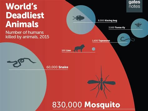 Deadliest Animals Chart