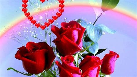 🥇 Flowers Roses Red Rose Wallpaper 126012