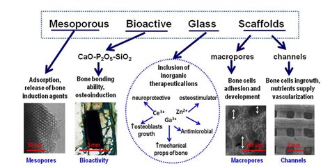 3d Printing Bioactive Glass Scaffolds For Tissue Regeneration Mo Sci Corporation