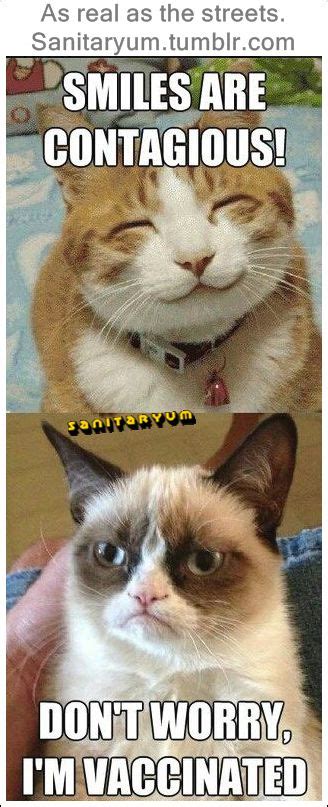 Collect The Luxury Funny Grumpy Cat Memes Tumblr