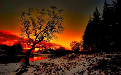 Sunset Winter Wallpapers So Beautiful And Free To Download