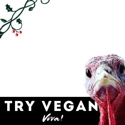 Help Turkeys this Christmas! - Support Campaign | Twibbon