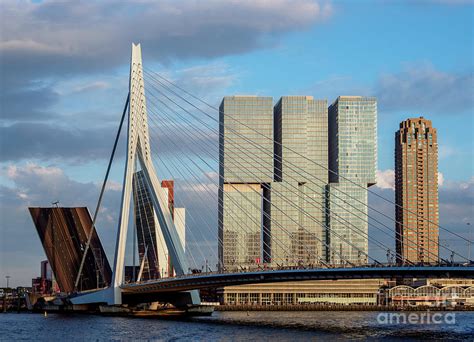 Erasmus Bridge Rotterdam The Netherlands Photograph By Karol Kozlowski