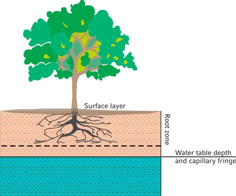 Schematic Diagram Of Unsaturated And Saturated Soil Zones Download
