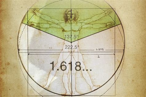 Da Vinci Vitruvian Man And The True Da Vinci Code