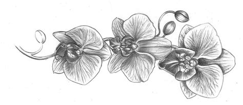 Download 1,500+ royalty free orchid sketch vector images. 10 Orchid Tattoos That Are Overwhelmingly Beautiful | Spiritustattoo.com