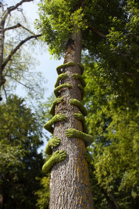 Tree Hug Annecy Monsieur Plant