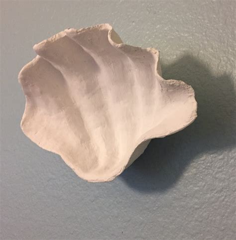 Clam Shell Seashell Art Large Clam Shell By Americangreencrafts