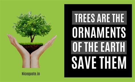 80 Best Slogans On Save Trees And Save Tree Quotes February 2024