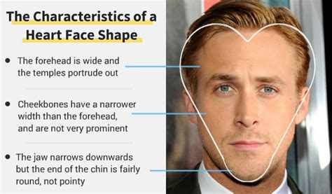 Heart Face Shape Pick The Best Beard For It Definitive Guide