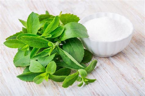 Tanaman Stevia Sebagai Pengganti Gula Lebih Sehat • Hello Sehat