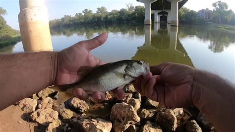 Fishing The Mighty Brazos River Youtube