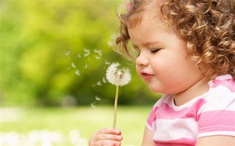 The Child Blows On A Dandelion Wallpapers And Images Wallpapers