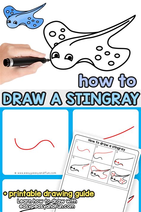 There you can see how the eyelids cover the eyeball and how much is visible now, lets have a look at highlights in the eye and how they relate to the light source that is illuminating the drawing. How to Draw a Stingray - Step by Step Drawing Tutorial ...