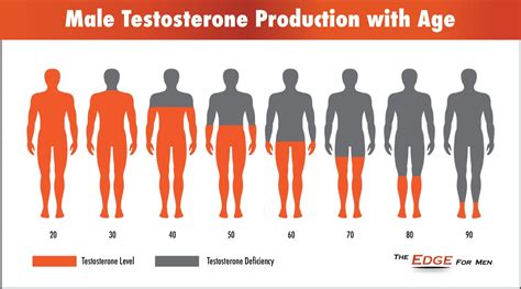 Male Testosterone Levels Over Time Elevate Md