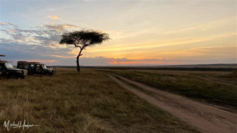 Sunset Acacia Tree Land Cruisers Maasai Mara Hi Travel Tales