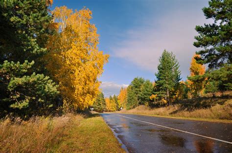 Autumn Landscape With Forest Free Stock Photo Public Domain Pictures