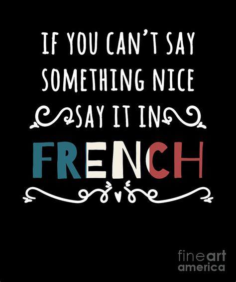 If You Cant Say Something Nice Say It In French Print Drawing By Noirty