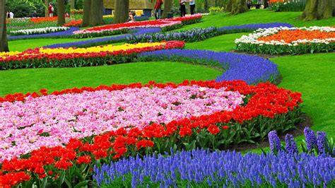 Wallpaper Landscape Colorful Flowers Garden Nature Grass Field