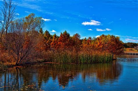 Kansas Fall Foliage Photograph By Tim Mccullough