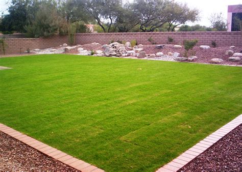 Grass seed achieves maximum success in arizona when it is planted during the best time of the year. Popular Grass Types for Arizona Lawns - Santa Rita Landscaping