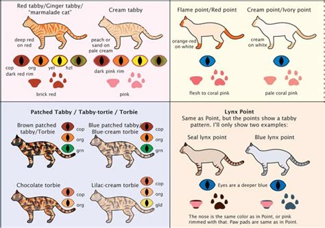 Infographic With All Of The Possible Color Combinations You Could Ever