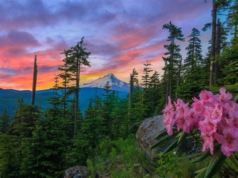 8 Best Scenic Hikes In Oregon With Photos And Map Trips To Discover